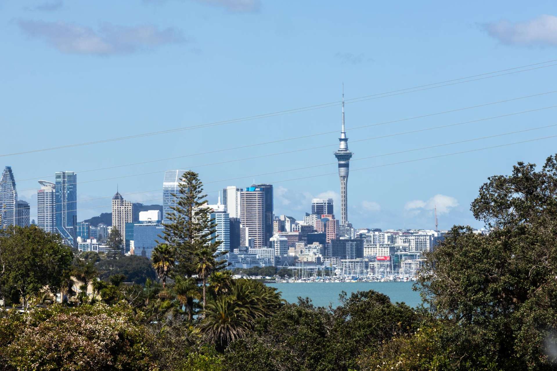 313/48 Esmonde Road Takapuna_0