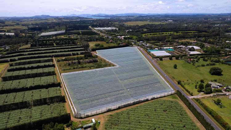 147 Stanners Road and 89 Kapiro Road Kerikeri_7