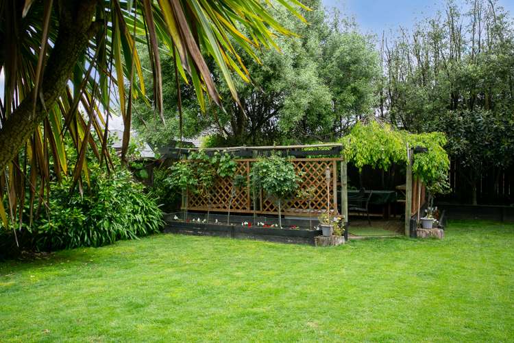 13 Carnation Court Cambridge_17