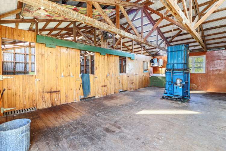 189 Pahihi Road Hauraki Surrounds_8