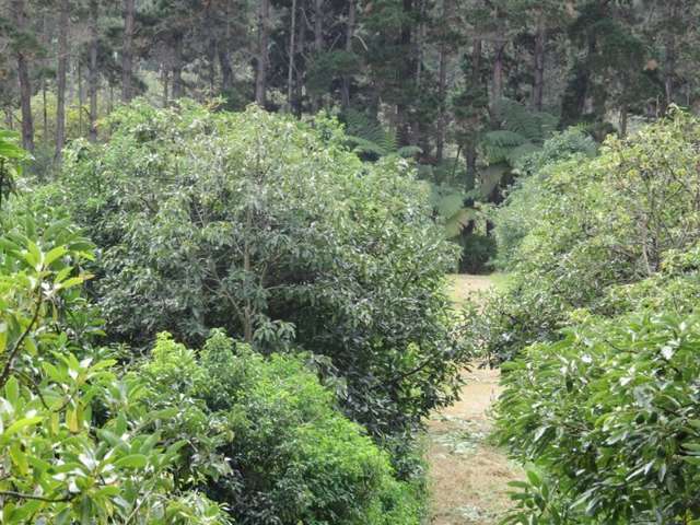 5163 State Highway 1 Ngataki_1