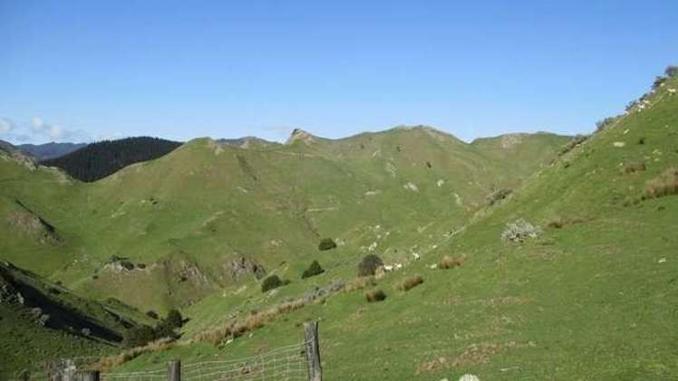 357 Summerhill Road Hinakura_16