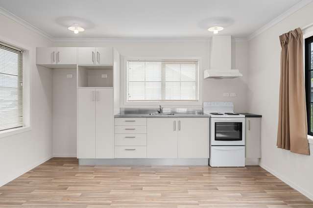 47g Nixon Street Hamilton East_4