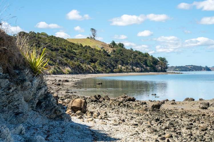 140 Beatson Road Whakapirau_59