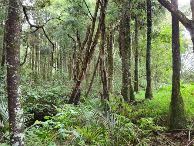 Lot Lot 1 Dodd Road Maungaturoto_4