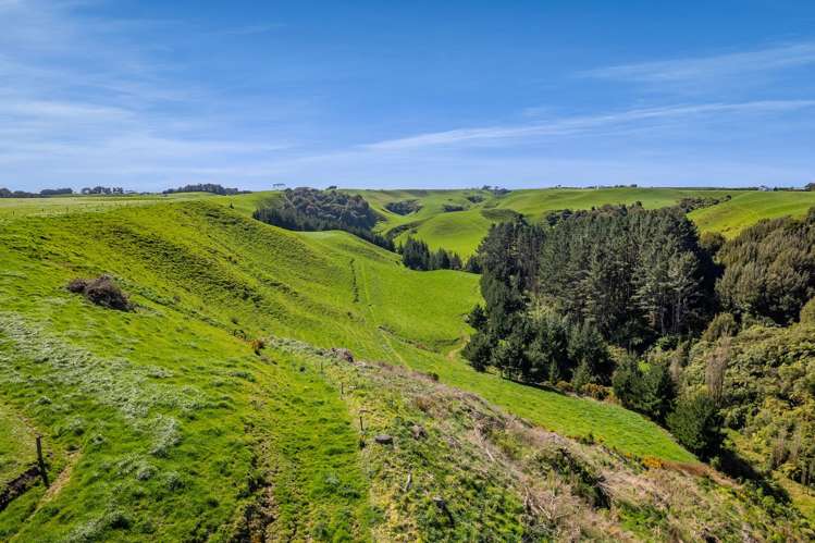 0n Mountain Road Normanby_9