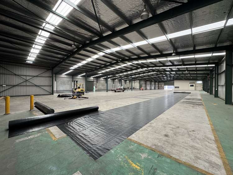 14B Harvard Way Mt Maunganui_1