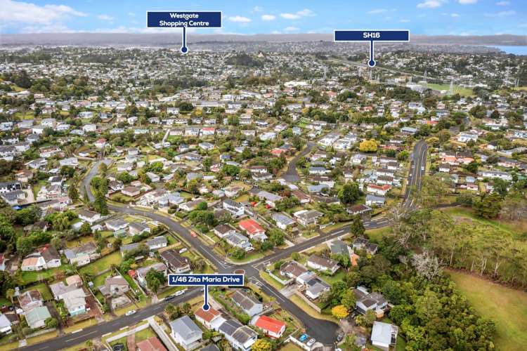 1/46 Zita Maria Drive Massey_14