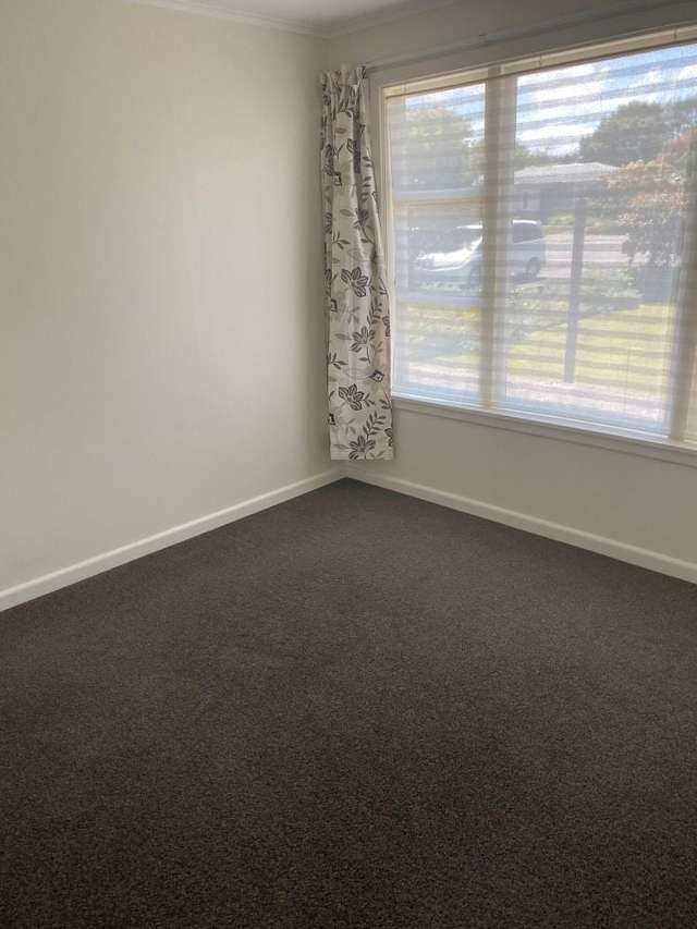 5 Ransom Street Dannevirke_3