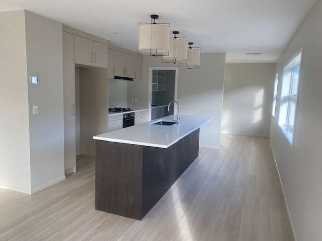 61 Rochdale Drive Churton Park_1