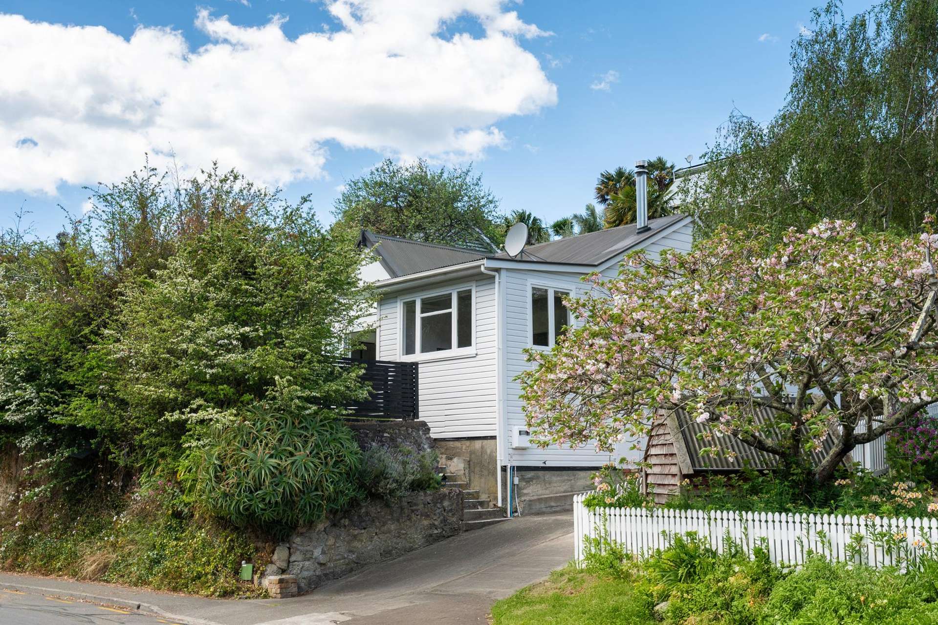 33 Coote Road Bluff Hill_0