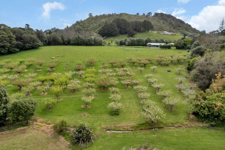 159 Tangihua Road Maungakaramea_44