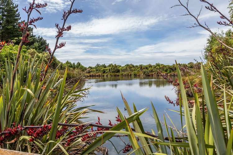 8 Willowby Lane Rangiora_23