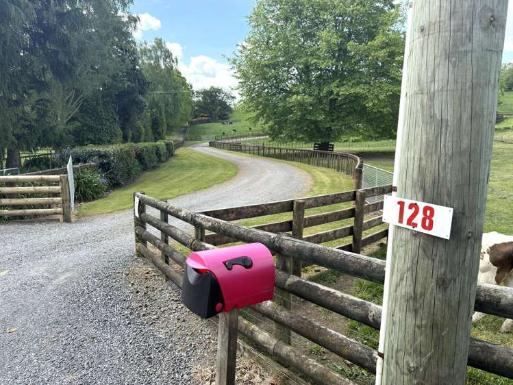 128 Taotaoroa Road Matamata_19