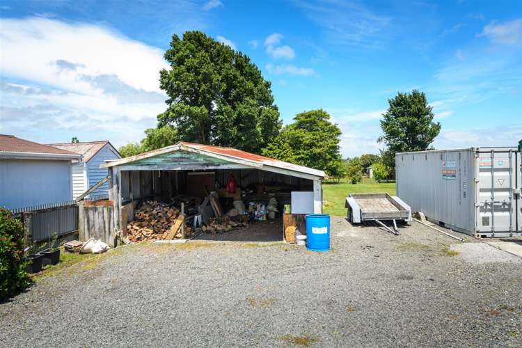 25 Flower Street Bulls_26