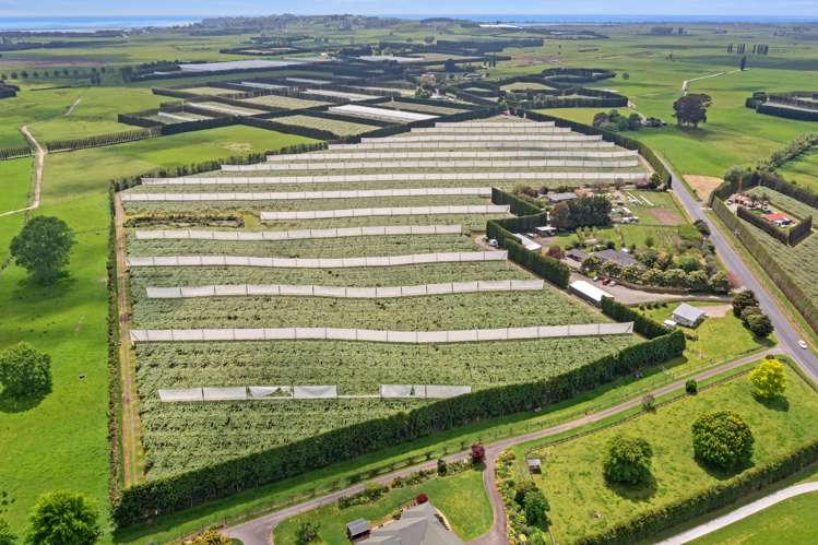 23 Wilson Road North Paengaroa_17