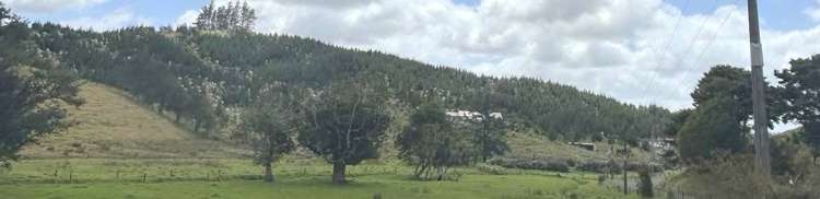 498 Pekerau Road Karikari Peninsula_10