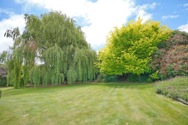 82 Leithfield Road Leithfield_21