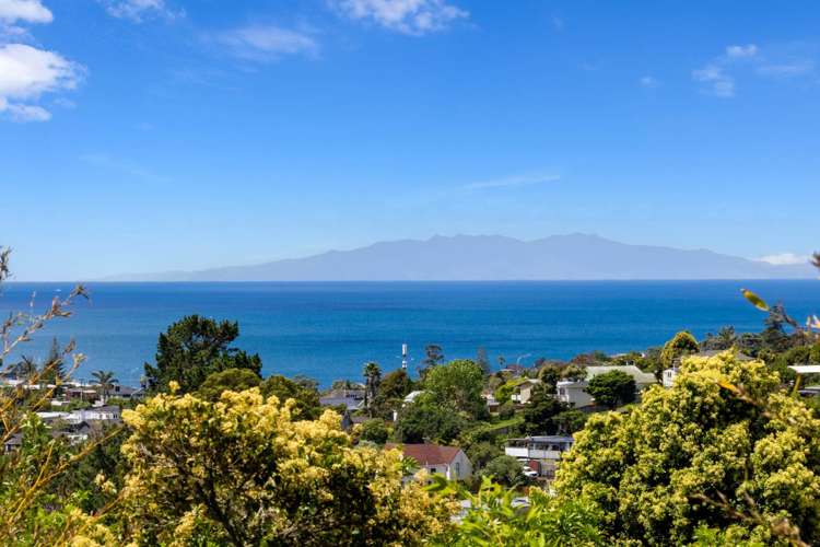 555b East Coast Road Browns Bay_1