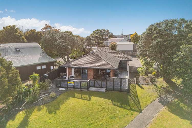 4 Ajax Head Pauanui_11