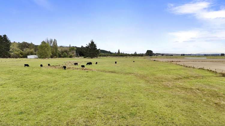 652 Makino Road Feilding_9