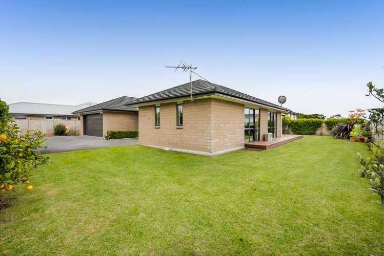 43c Camellia Avenue Bell Block_30