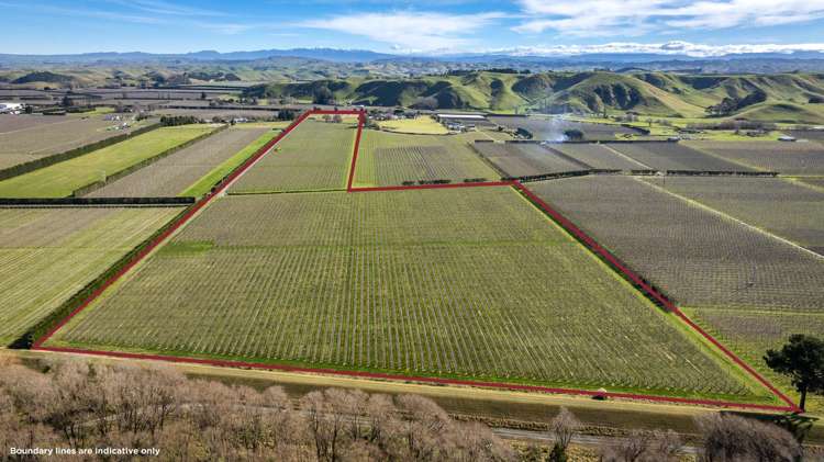 Kiwi Crunch Orchard Portfolio Twyford_32