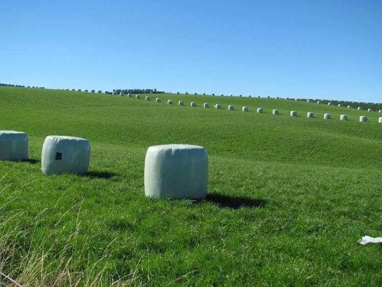 252 Hamilton Road Otautau_5