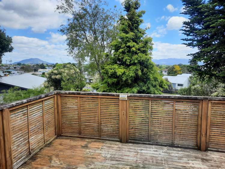 693 Picquet Hill Road Te Awamutu_5
