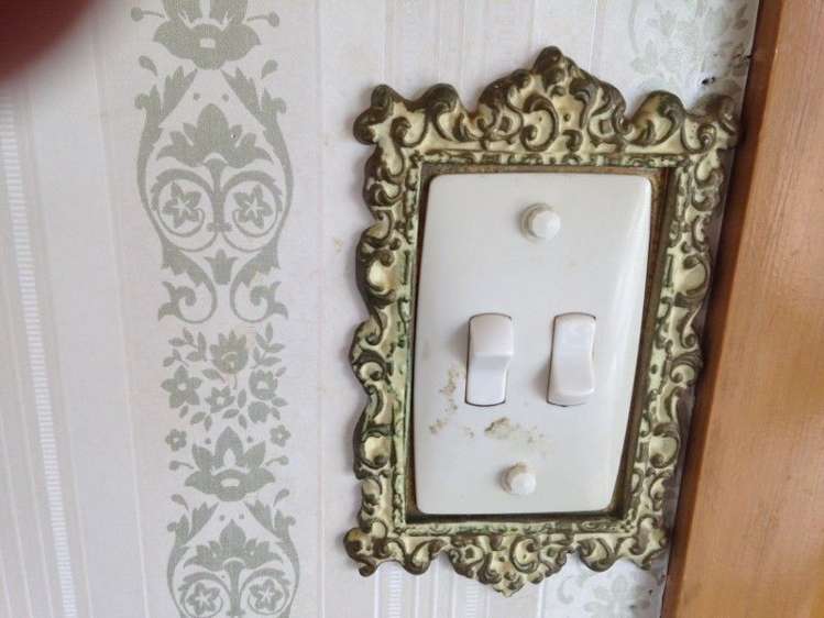 24b Vine Avenue Maungatapu_20