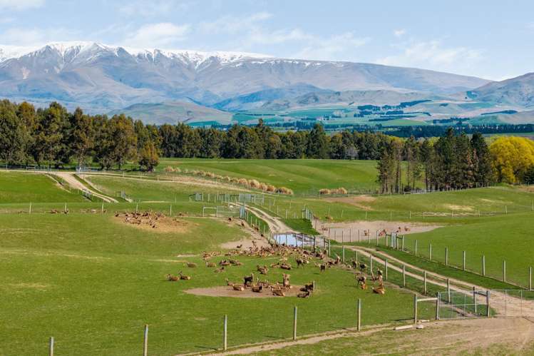 860 McHenrys Road Kurow_22