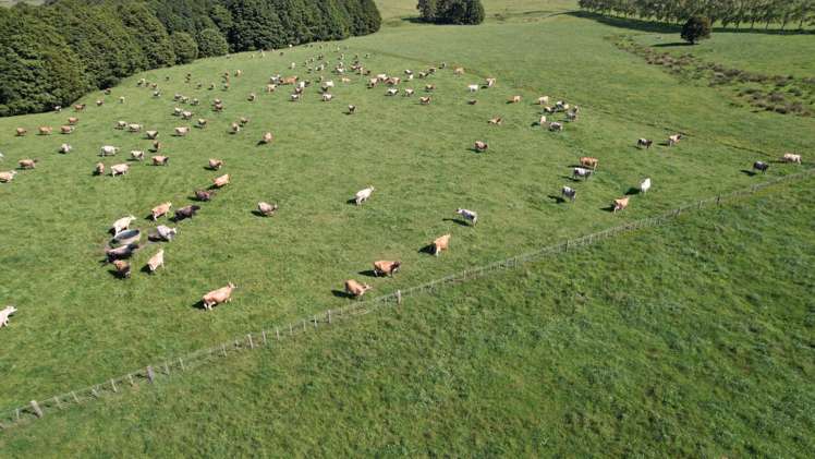 374 Rakauwahia Road Taheke_17