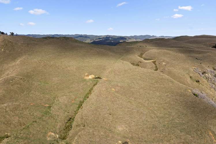 23 Hapurua Road Ohura_18