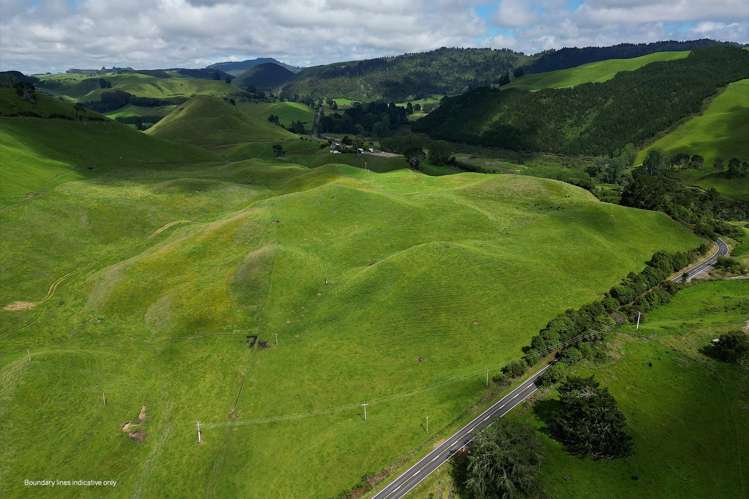 1911 Tutukau Road Wairakei and Surrounds_6