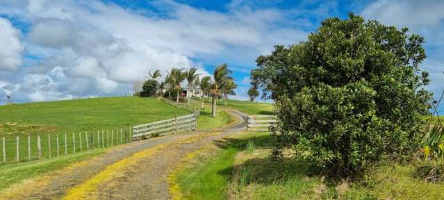292 Bradleys Landing East Road, Dargaville_1