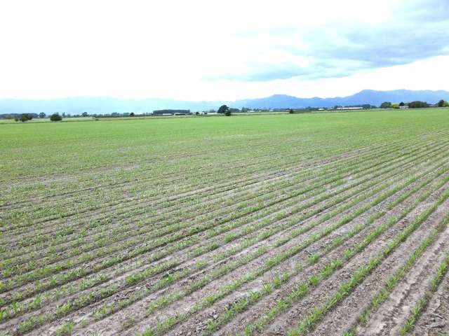 867 Waihekau Road Waitoa_2