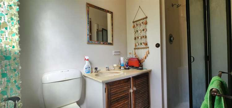 33 Higginson Street Otane_11