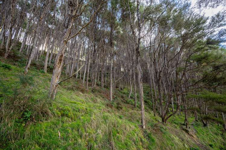 121 Win Valley Road Dovedale_20