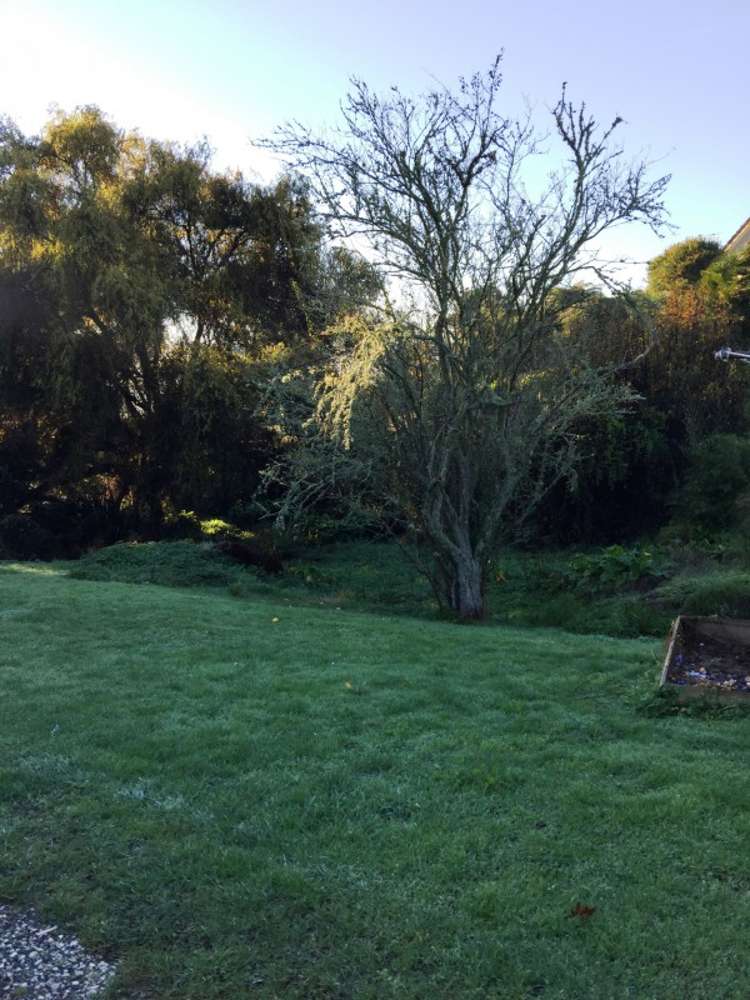 31 Ailsa Street Te Kuiti_9