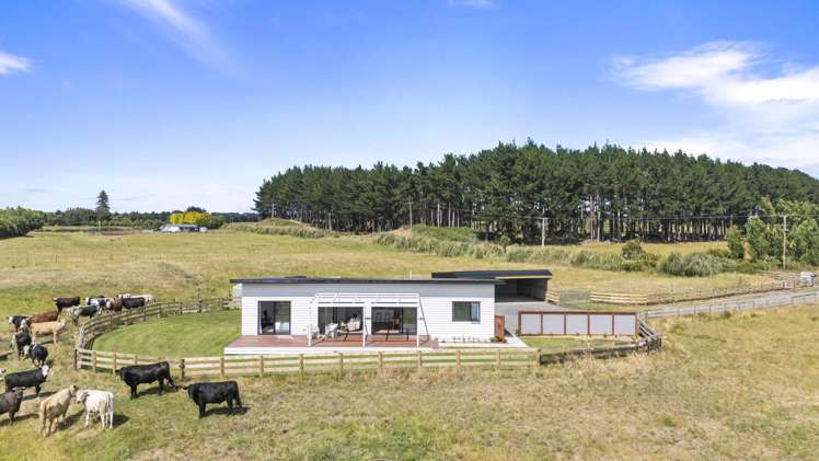 1121 Parewanui Road Parewanui_17