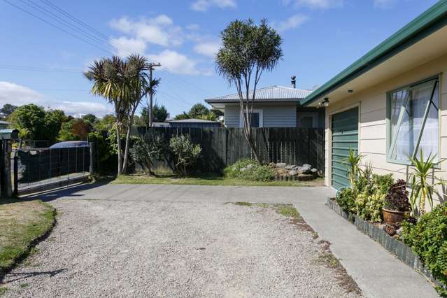 49 Brice Street Tauhara_2