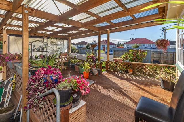 39 Winchester Street Levin_4