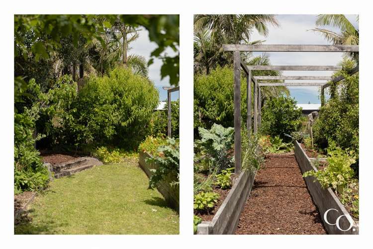 91 Valley Road Mount Maunganui_30