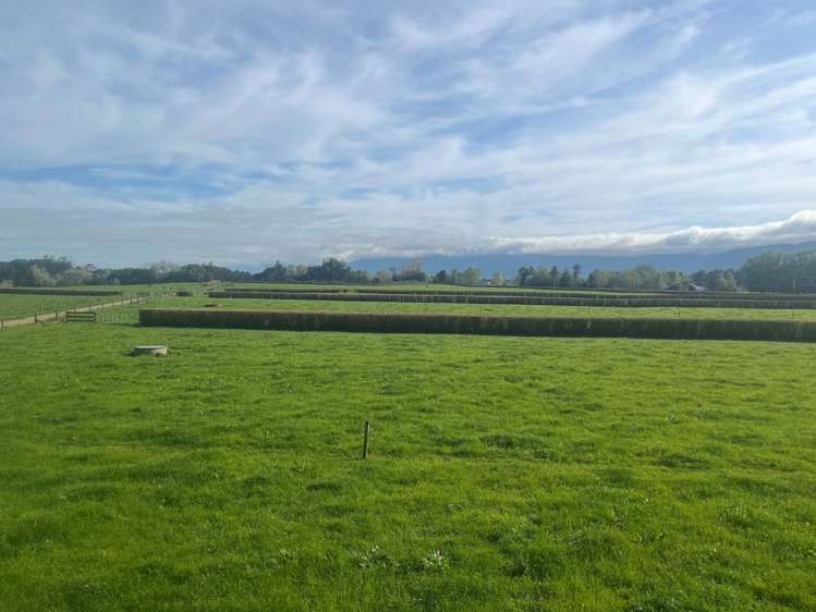 205 Taihoa North Road Matamata_1