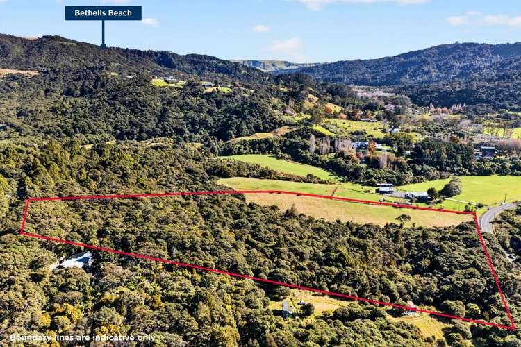 106 Te Henga Road Waitakere_11