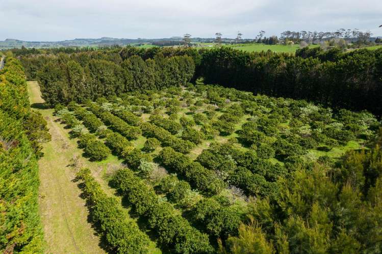 908A Te Ahu Ahu Road, Waimate North Kerikeri_21