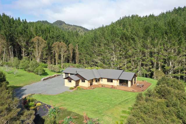 561C Waingaro Road Ngaruawahia_3