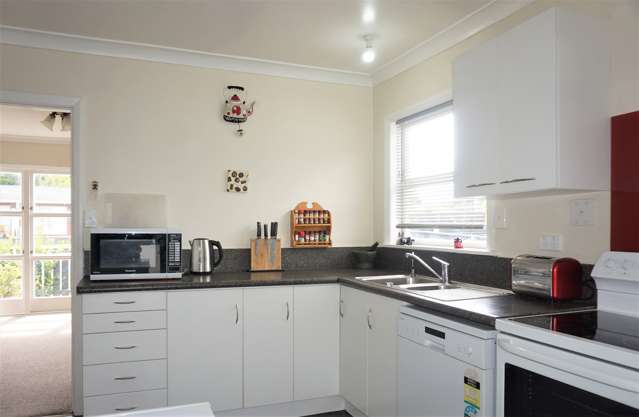 35 Graham Street Levin_4