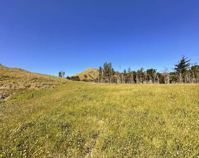 498 Seafield Road Puketapu_3