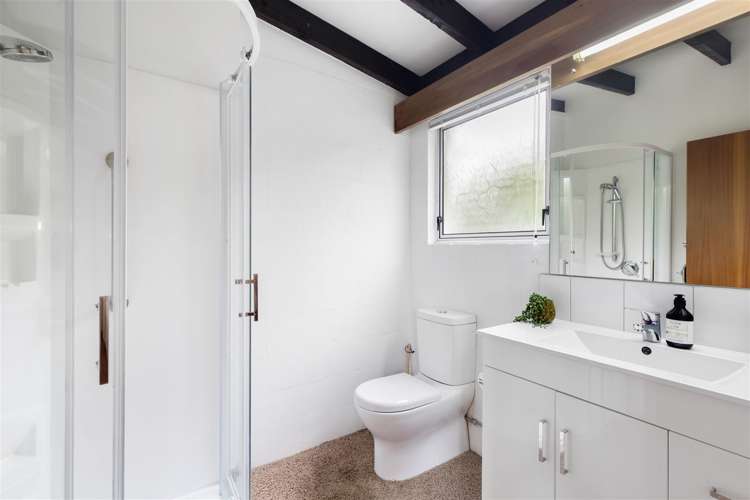 19 Santa Maria Avenue Mount Pleasant_13